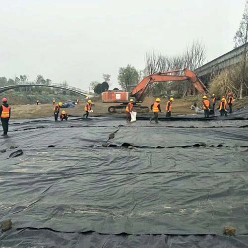 闃叉笚鑶? 闃叉笚鑶?